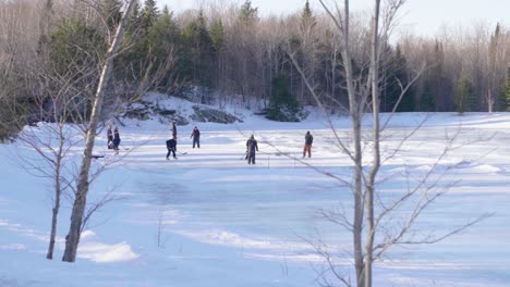 Familie-Spielt-Eishockey-Auf-Einem-Zugefrorenen-See-Im-Wald