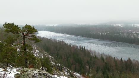 Tilt-High-Angle-View-Of-Tree-Tops-and-Misty-Lake-During-Winter-in-Scandinavia