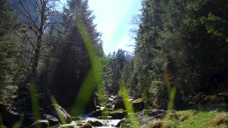Tiro-Tranquilo-De-Un-Río-Que-Fluye-A-Través-De-Un-Valle-Verde-En-Los-Alpes-Suizos