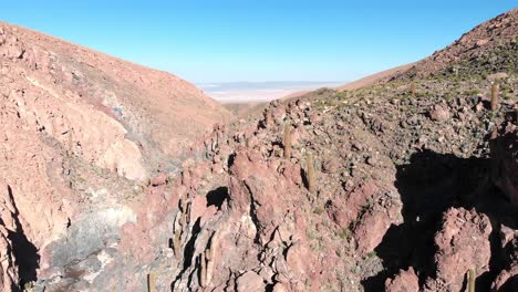 Aerial-cinematic-shot-inside-a-popular-giant-cactus-canyon-trekking-spot-near-San-Pedro-de-Atacama-in-the-Atacama-Desert,-northern-Chile,-South-America