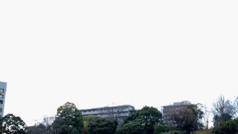 Cielo,-árboles-Verdes,-Cerezos,-Lago-Y-Edificio-En-El-Jardín-Botánico-De-Koishikawa