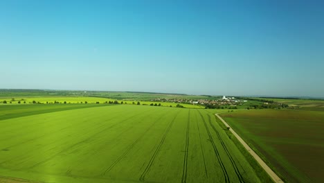 Luftaufnahmen-über-üppigen-Grünen-Feldern-Mit-Wunderschönem-Neumond-Am-Blauen-Himmel-Und-Einer-Kleinen-Stadt-In-Der-Ferne
