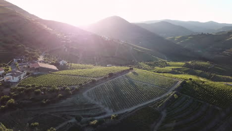 Tilting-up-over-the-Douro-Valley-to-look-into-the-rising-sun,-casting-a-beautiful-sun-glare