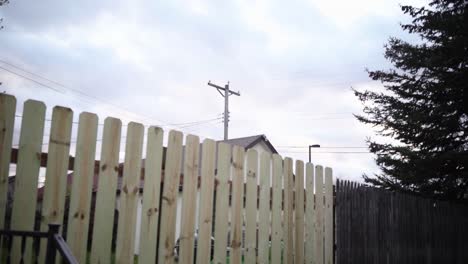 Alley-view-fence-and-electric-pole