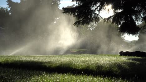 Sunrise-through-sprinklers-in-the-suburbs---panning