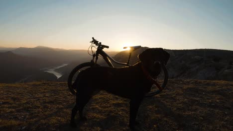 Black-labrador-dog-in-front-of-a-bicycle-at-top-of-a-mountatin-at-sunset