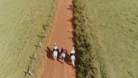 top-view-of-horses-on-the-road,-Minas-gerais,-Brazil