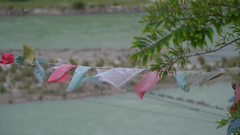 With-Pho-Chu-River-in-the-background,-these-Prayer-Flags-perched-on-the-branch-of-a-tree-looks-fantastic