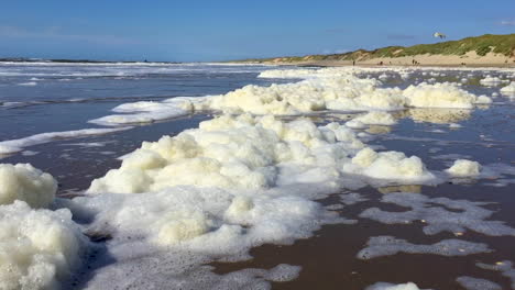 Huge-mountains-of-pollution-in-form-of-dirty-yellow-scum-are-washed-ashore-the-beach