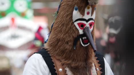 Funny-looking-furry-masks-with-the-bulgarian-flag-in-one-of-the-dancing-participants