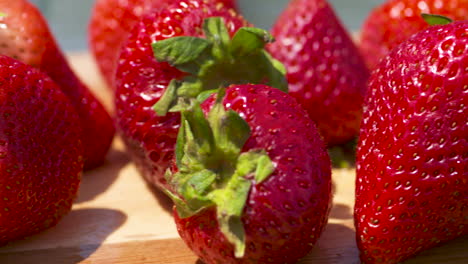 Close-up-pan-over-a-bunch-of-freshly-harvested,-bright-red-strawberries-in-the-sunlight