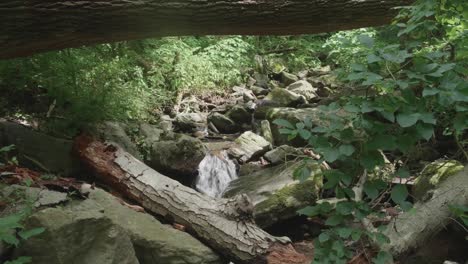 Wasser-Fließt-über-Felsen-Und-Bäume-Am-Wissahickon-Creek