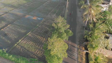 Drohne-Schoss-über-Einer-Straße-In-Bali-Asien