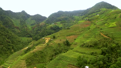 Riesige-üppig-Grüne-Reisterrassen-In-Einem-Tal-Im-Norden-Vietnams