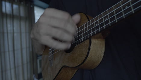 Close-Up-Hand-Musician-Playing-Ukelele