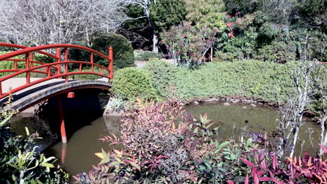 Red-bridge-over-calm-pond,-Ju-Raku-En-Japanese-Garden,-Toowoomba-Australia