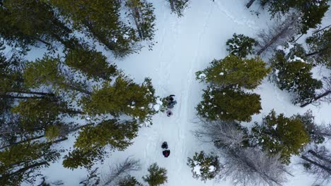 Aerial-tracking-birds-eye-view-shot-of-a-group-of-people-walking-through-trees-on-a-snowy-mountain