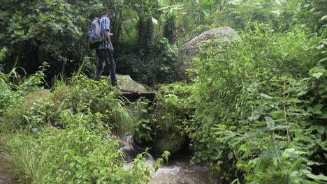 Eine-Zeitlupenaufnahme-Eines-Afrikanischen-Mannes,-Der-Eine-Kleine-Holzbrücke-über-Einen-Bach-In-Einem-Tropischen-Ostafrikanischen-Dschungel-überquert