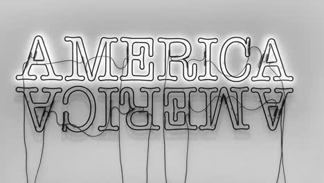 "Double-America-2"-is-a-Tale-of-Two-Countries-in-Glenn-Ligon’s-metaphoric-interpretation-of-today's-American-politics