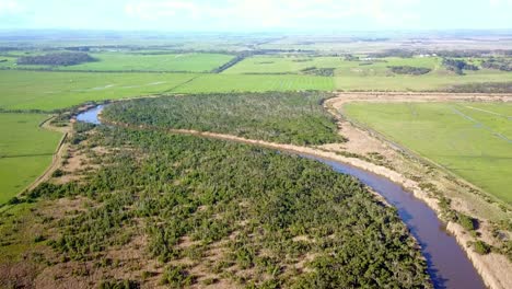Aerial-view-of-native-vegetation-and-agricultural-fields-along-the-Tarwin-River-near-Tarwin-Lower,-Victoria,-Australia