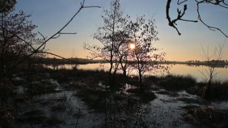Antenne-Durch-Zweige-Goldene-Stunde-Sonnenuntergang-See-Sumpf-Zeitlupe-Tag