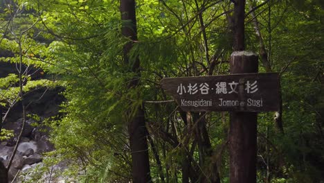 Jomon-Sugi-and-Kosugidani-Forest-Trail-Path-Sign,-Yaksuhima-Island-Japan