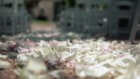 Weiße-Rosenblätter-Und-Kieselstein-Auf-Dem-Boden-Des-Hochzeitsgangs---Selektiver-Fokus
