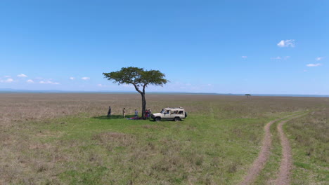 Safari-drone-shot-of-people-and-4x4-vehicle-near-acacia-tree