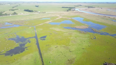 Aerial-view-over-flooded-agricultural-fields-at-Tarwin-Lower,-Victoria,-Australia