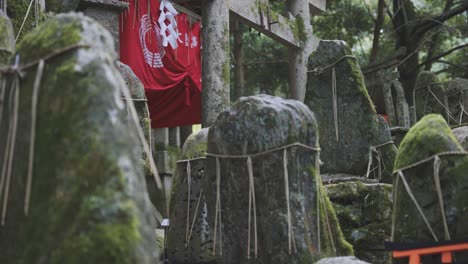 Moosbedeckte-Felsen-Am-Fushimi-Inari-Schrein-In-Kyoto,-Japan