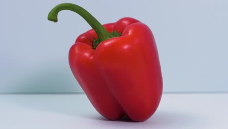 Red-fresh-sweet-bell-pepper-rotates-on-a-light-blue-background,-healthy-food,-concept,-closeup-shot-camera-rotate-left