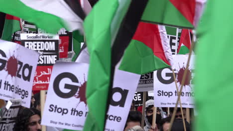 Menschen-Halten-Plakate-Und-Schwenken-Fahnen-Bei-Einem-Pro-palästinensischen-Protest-Gegen-Die-Israelische-Militäraktion-Im-Gazastreifen
