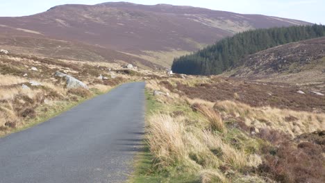 Carretera-Asfaltada-Entre-Campos-Que-Conducen-Al-Bosque-De-Coníferas-En-Las-Montañas-De-Wicklow-En-Irlanda