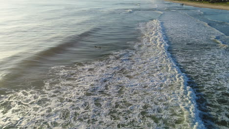 Luftaufnahme-Eines-Surfers,-Der-An-Einem-Schönen-Morgen-Herausschwimmt,-Um-Einige-Wellen-Zu-Fangen,-Mit-Burleigh-Hill-Im-Hintergrund-Am-Mermaid-Beach-Gold-Coast-Australien