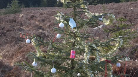 Vergessener-Weihnachtsbaum-Wicklow-Mountains-Irland