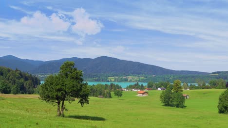 Wonderful-view-at-the-turquoise-colors-of-the-popular-Tegernsee-in-the-southern-bavaria---zoomed-out-with-the-great-view-over-a-green-meadow-under-a-blue-sky-with-mountains-in-the-background