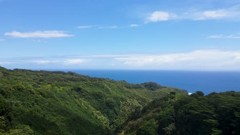 Beautiful-Lush-Forest-on-Hawaiian-Island-of-Maui---Aerial-with-Copy-Space