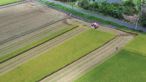 Aerial-drone-footage-Cultivated-rice-paddy-field,-farmer-harvesting-the-crops-with-multifunctional-paddy-harvesting-machine-rice-harvester-tractor-at-Doliu-Yunlin-Taiwan
