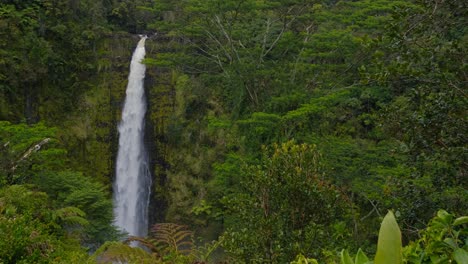 Hoher-Wasserfall-Inmitten-Eines-üppigen-Grünen-Dschungels
