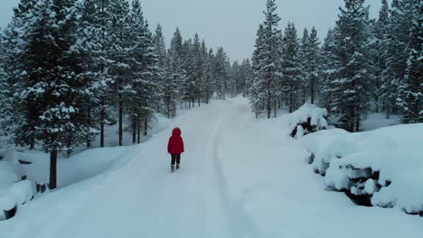 Girl-Walking-In-Winter-Forest-At-Inari,-Lapland,-Finland---aerial-shot
