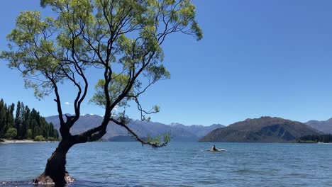 Ese-árbol-Wanaka---Kayak-Turístico-En-El-Lago-Wanaka-Durante-Las-Vacaciones-De-Verano-En-Nueva-Zelanda
