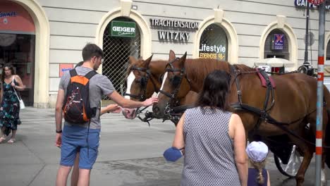 Tourists-in-Vienna,-Austria,-petting-Fiaker-horses