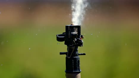 Water-irrigation-sprinkler-spraying-a-farmer's-field-during-a-drought-year---isolated-close-up