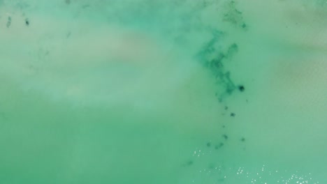 Bird's-Eye-View-Of-Turquoise-Water-And-Seashore-In-Balchik,-Bulgaria---aerial-drone-shot