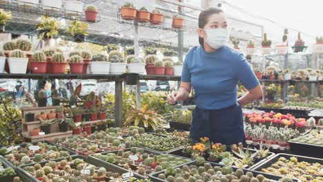 Young-Asian-girl-selecting-from-wide-varieties-of-cactus-plants,-at-cactus-nursery
