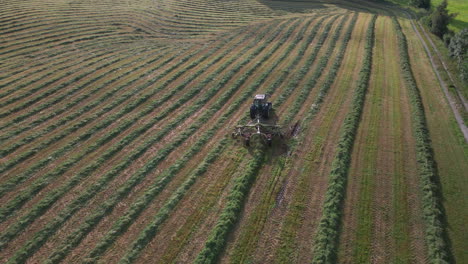 Tractor-raking-grass-silage-into-neat-rows-for-collection-to-make-bales,-drone