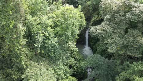 Aerial-shot-of-a-waterfall-cascading-down-rocks-surrounded-by-trees-in-a-forest