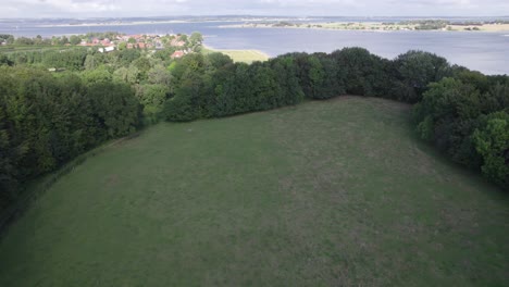 Top-View-From-Above-of-a-Field-With-Cattle-the-Sea-and-a-Small-Town---Tilt-Shot