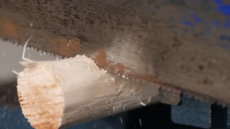 Close-up-sawing-off-a-piece-of-round-wood-with-a-rusty-saw-in-slow-motion
