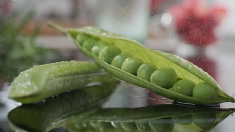 Green-Pea-Seeds-Rolling-On-Table-Towards-Open-Seed-Pod-With-Water-Mist